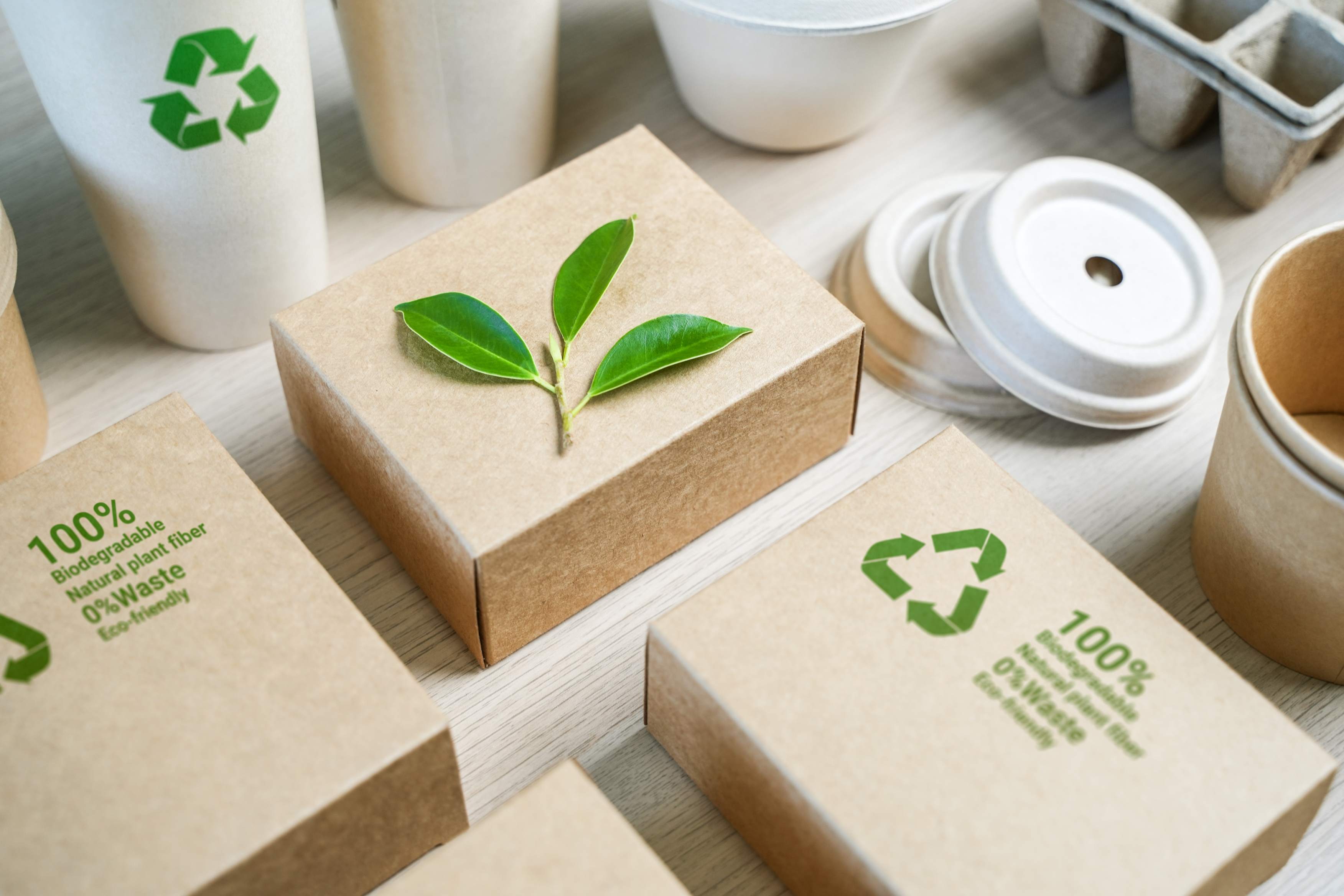 FSC® Paper